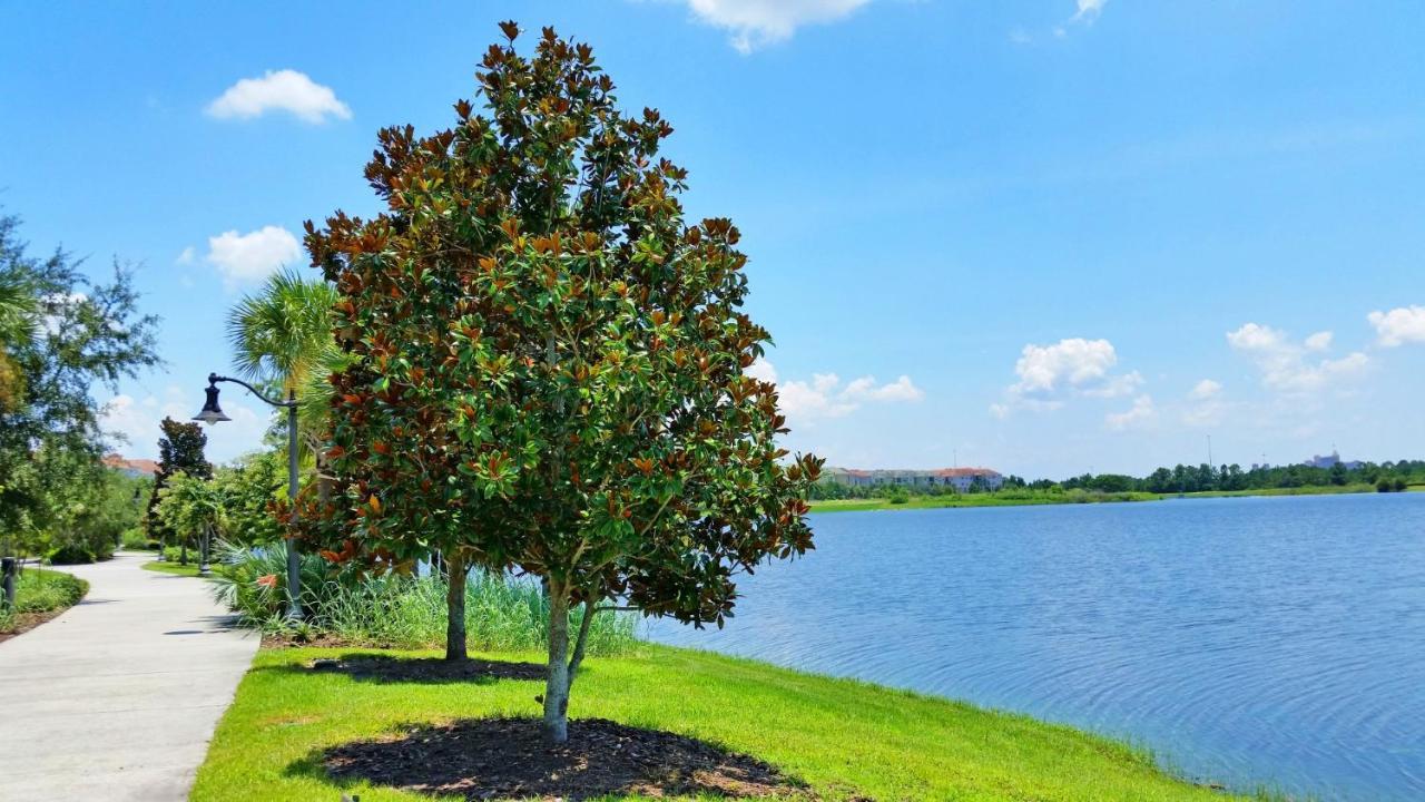 5025 Shoreway Loop #203 Orlando Eksteriør bilde